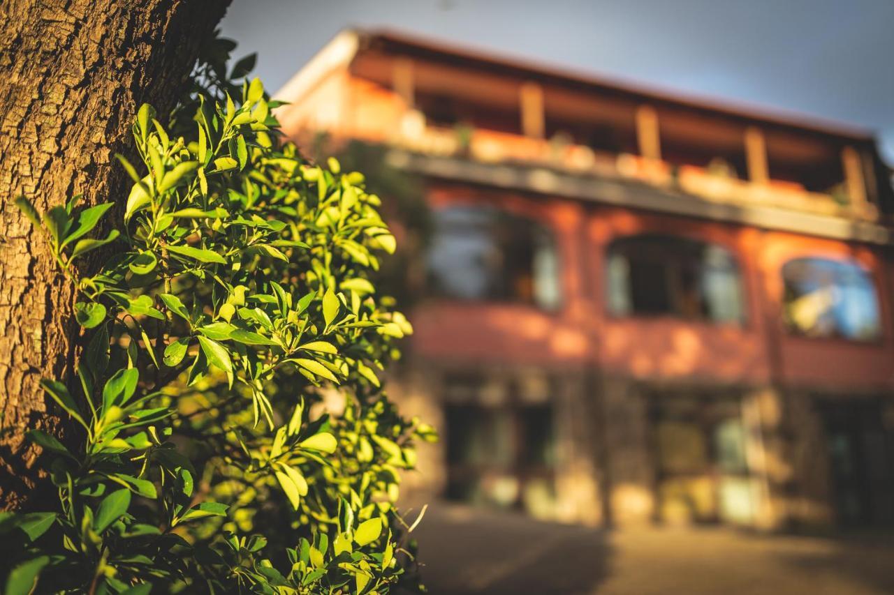 Hotel Ristorante Villa Paradiso Riparbella Zewnętrze zdjęcie